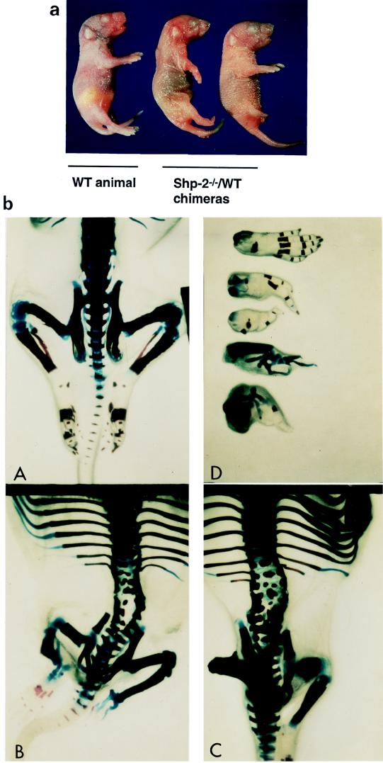 FIG. 7