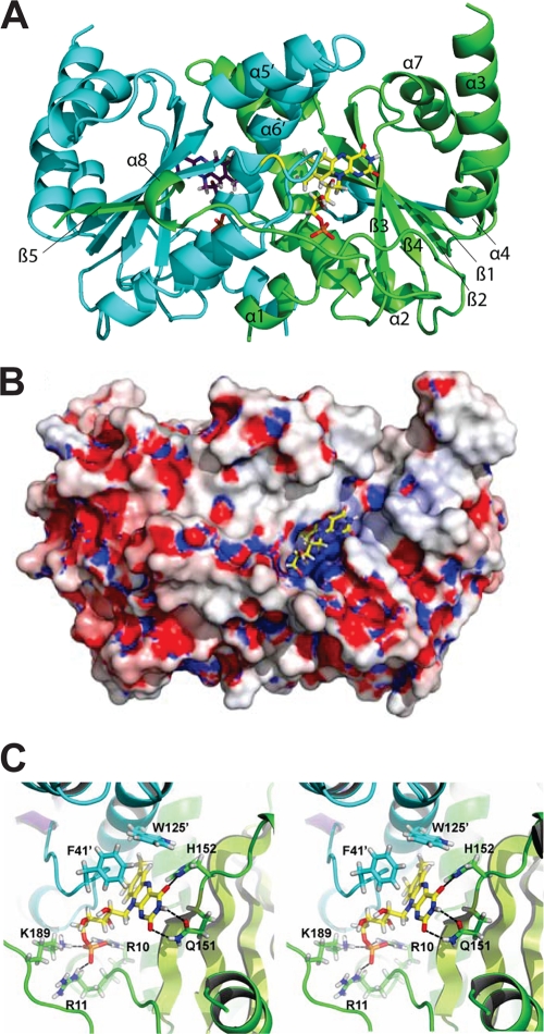 FIG. 8.