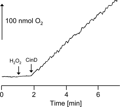 FIG. 5.