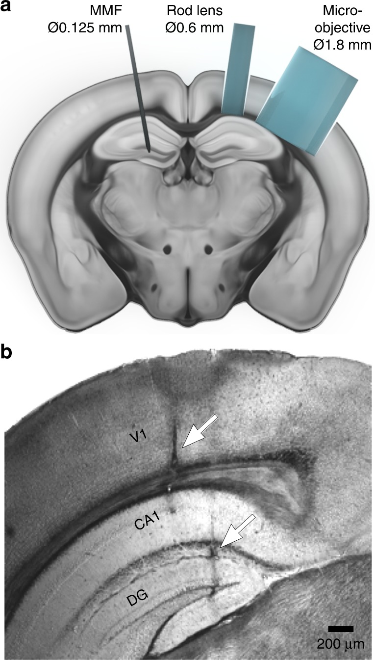 Fig. 4