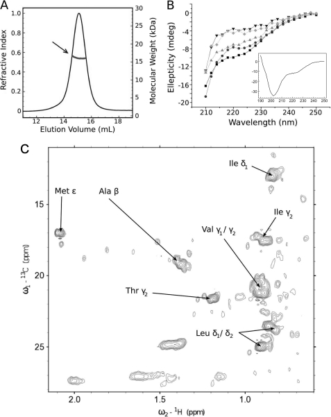 FIGURE 5.