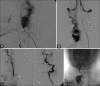 Figure 3(A-D)