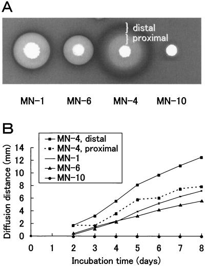 FIG. 6.