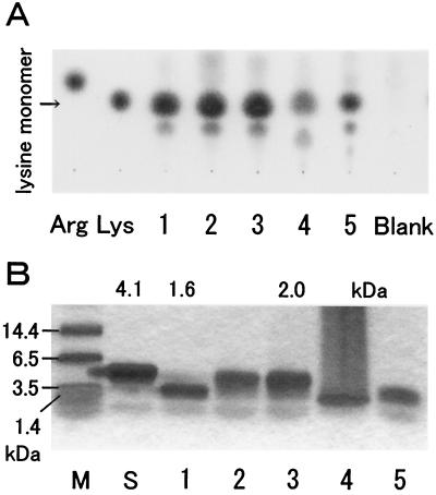 FIG. 4.