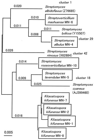 FIG. 5.