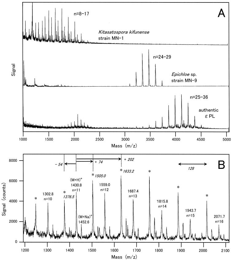 FIG. 8.