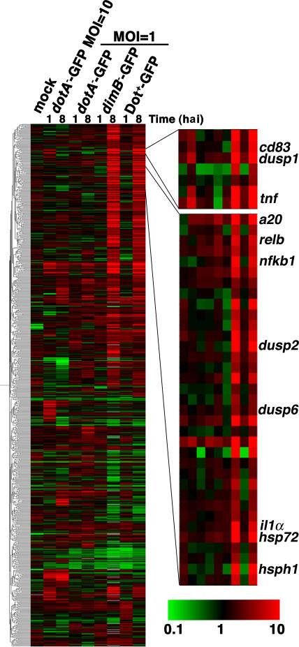 Figure 2.