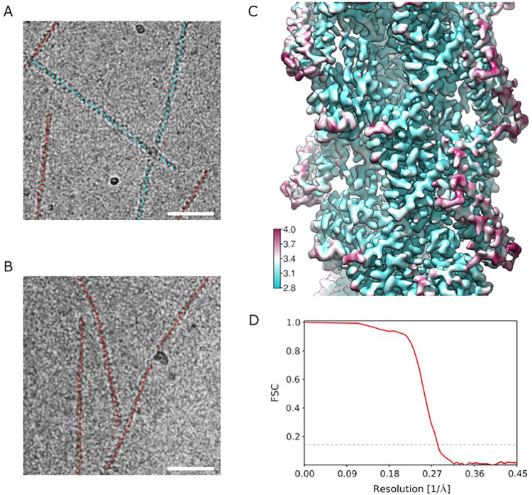 Figure 2—figure supplement 1.