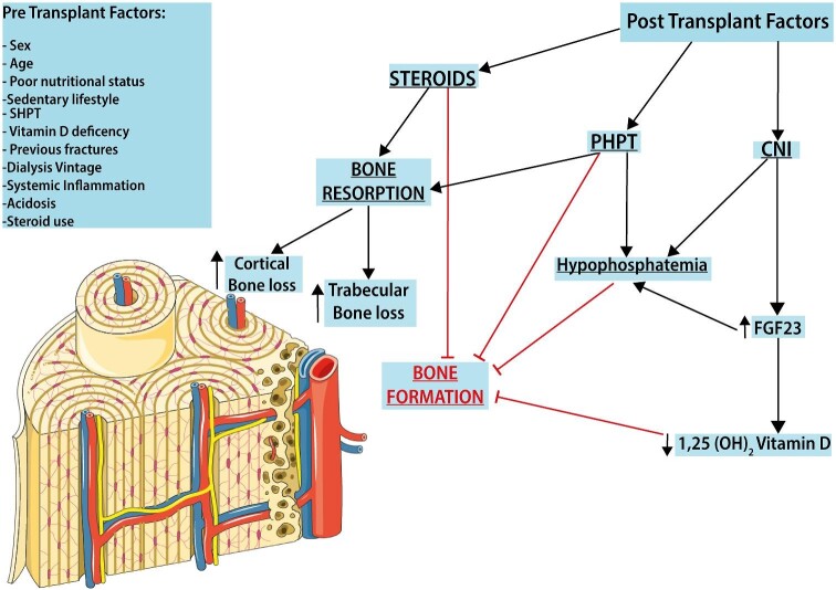 FIGURE 1: