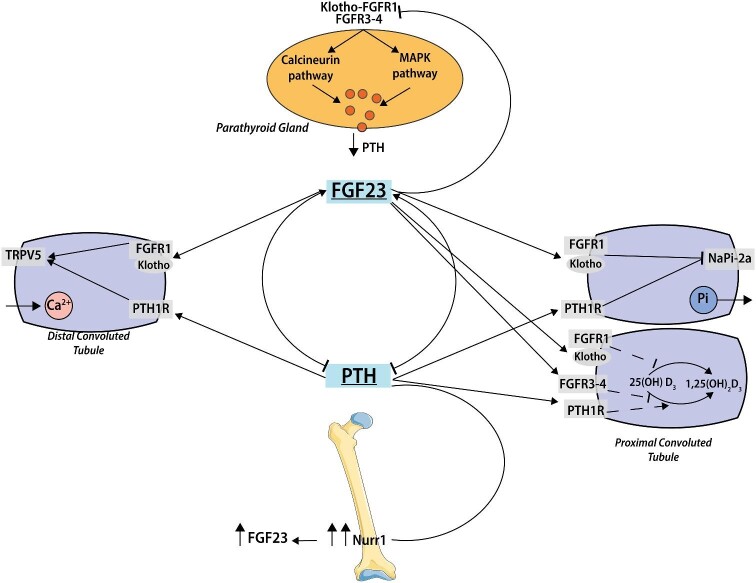 FIGURE 3: