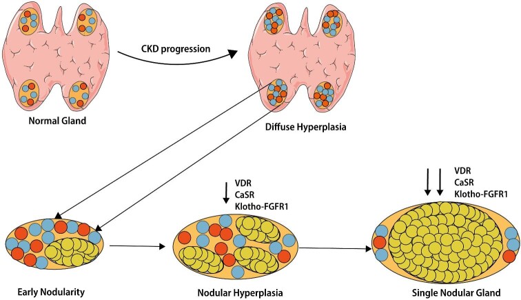 FIGURE 4: