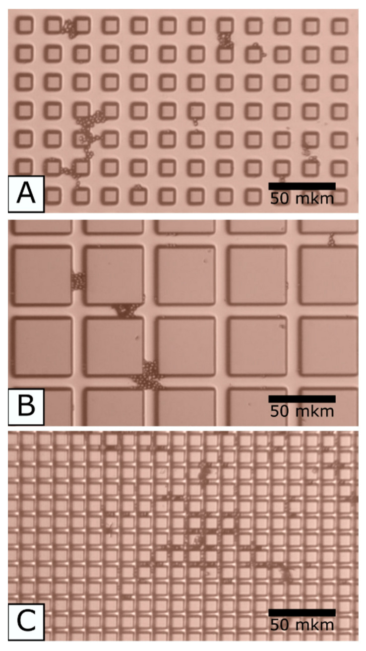 Figure 9