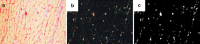 Fig. 3