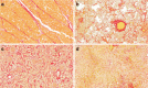 Fig. 6