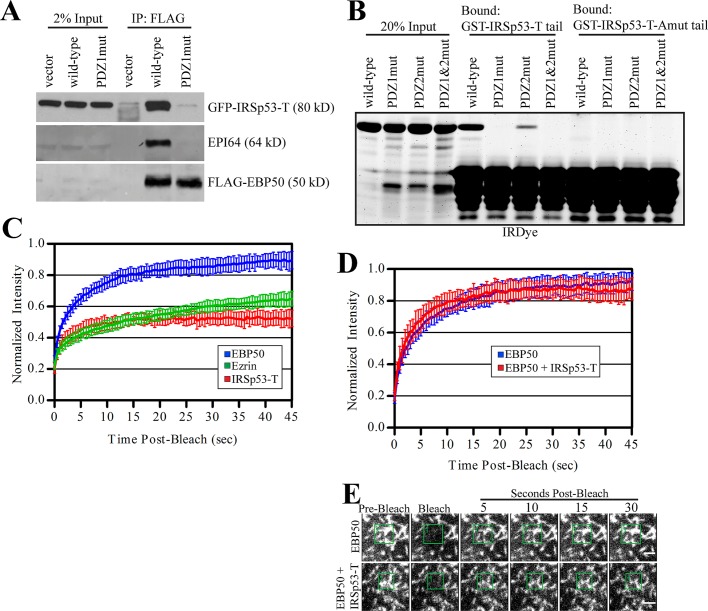 FIGURE 6: