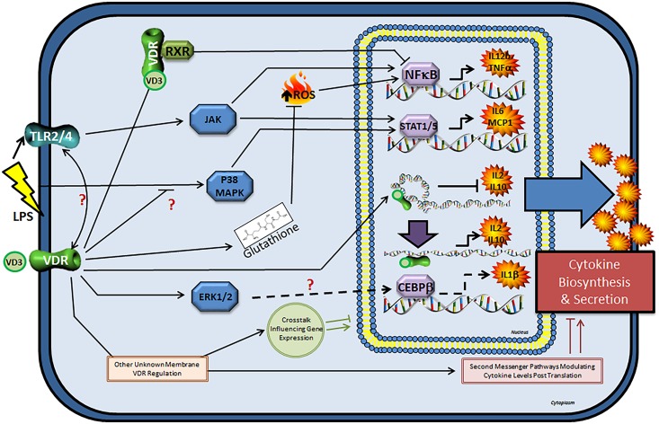 Fig 2