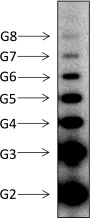 Fig. S4.