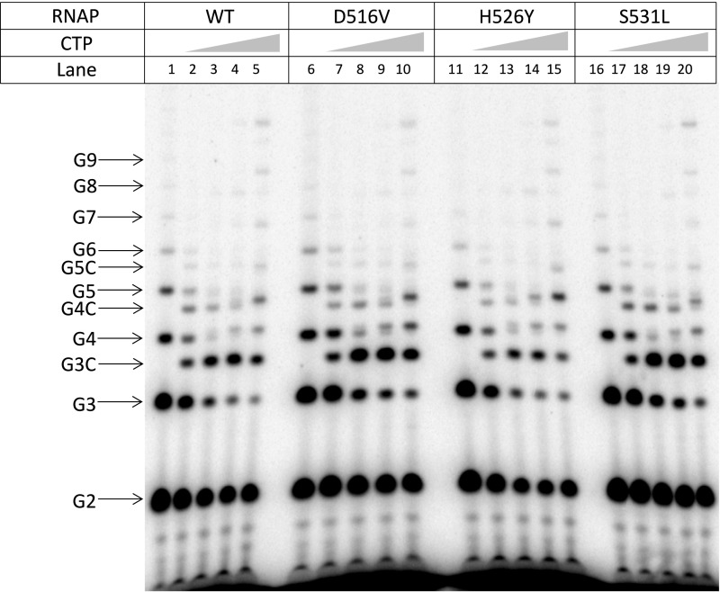 Fig. S5.