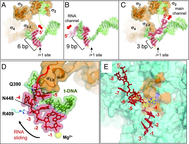 Fig. 4.