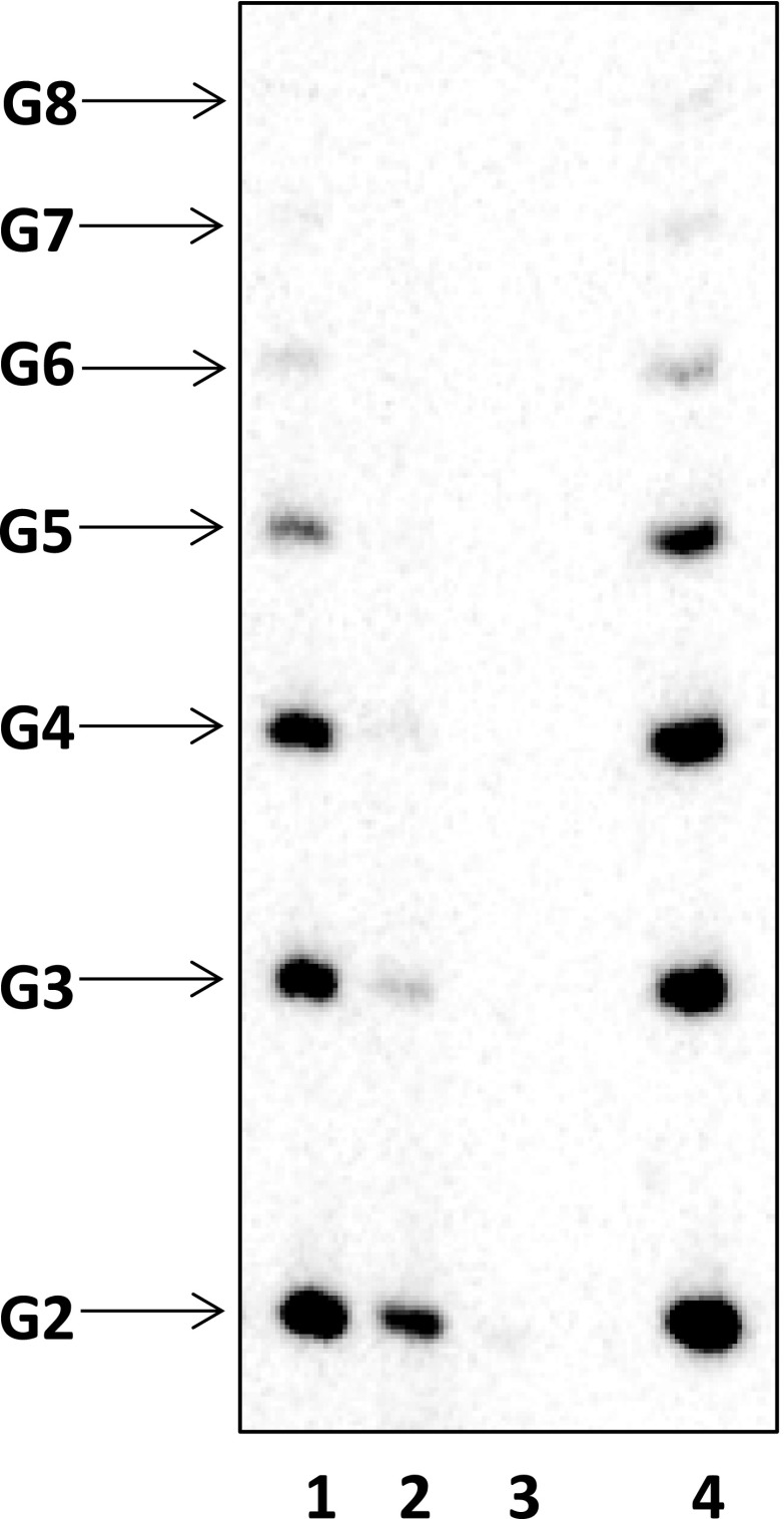 Fig. S2.