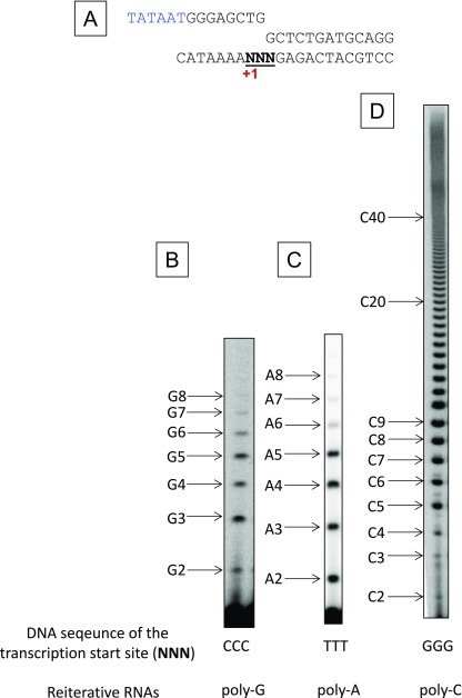 Fig. S3.