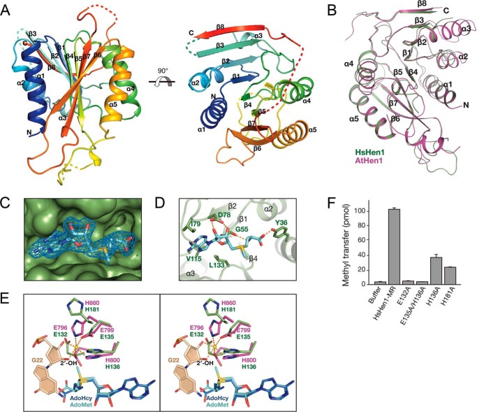 Figure 6.