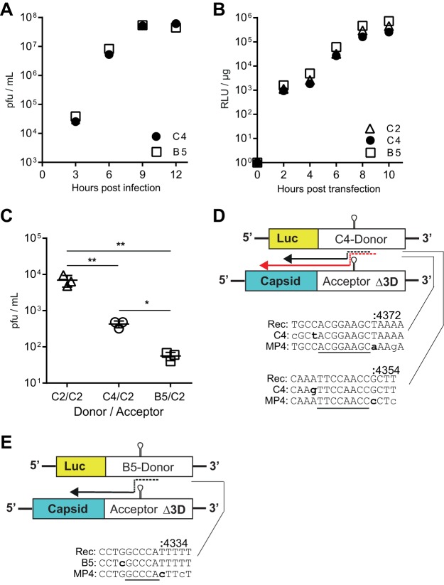 FIG 4