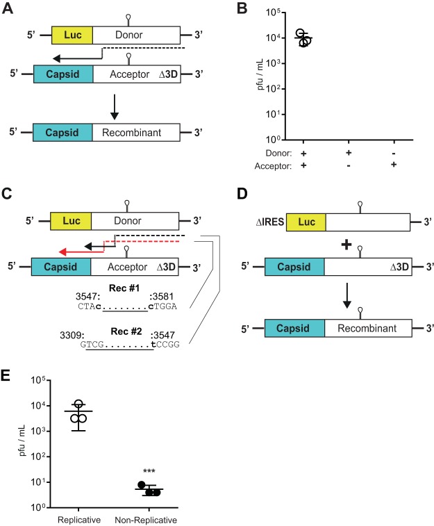 FIG 1