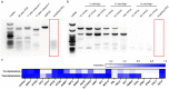 Extended Data Fig. 2 |