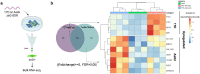 Extended Data Fig. 4 |