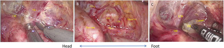 Fig. 3