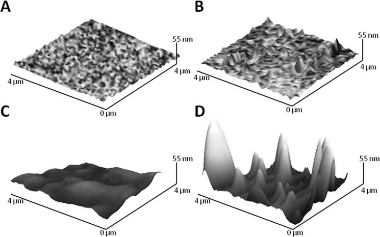 FIGURE 2