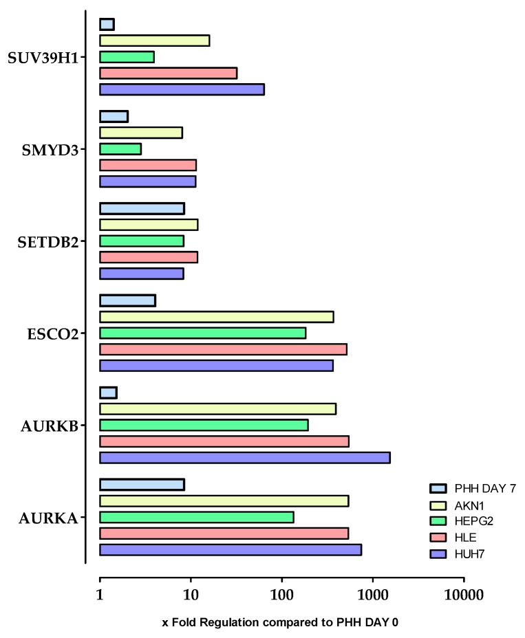 Figure 7