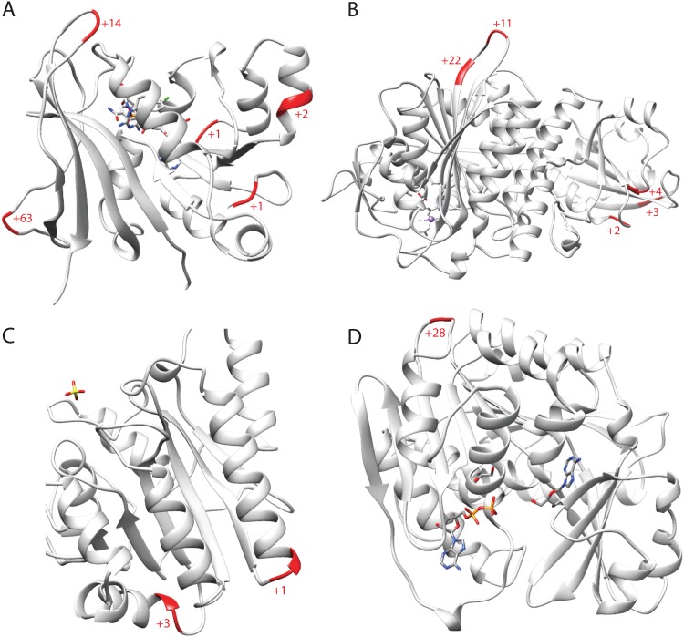 FIG 3