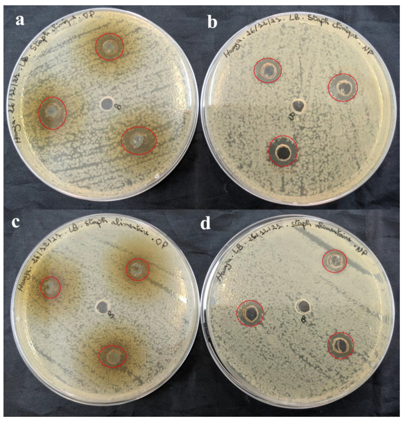 Figure 12