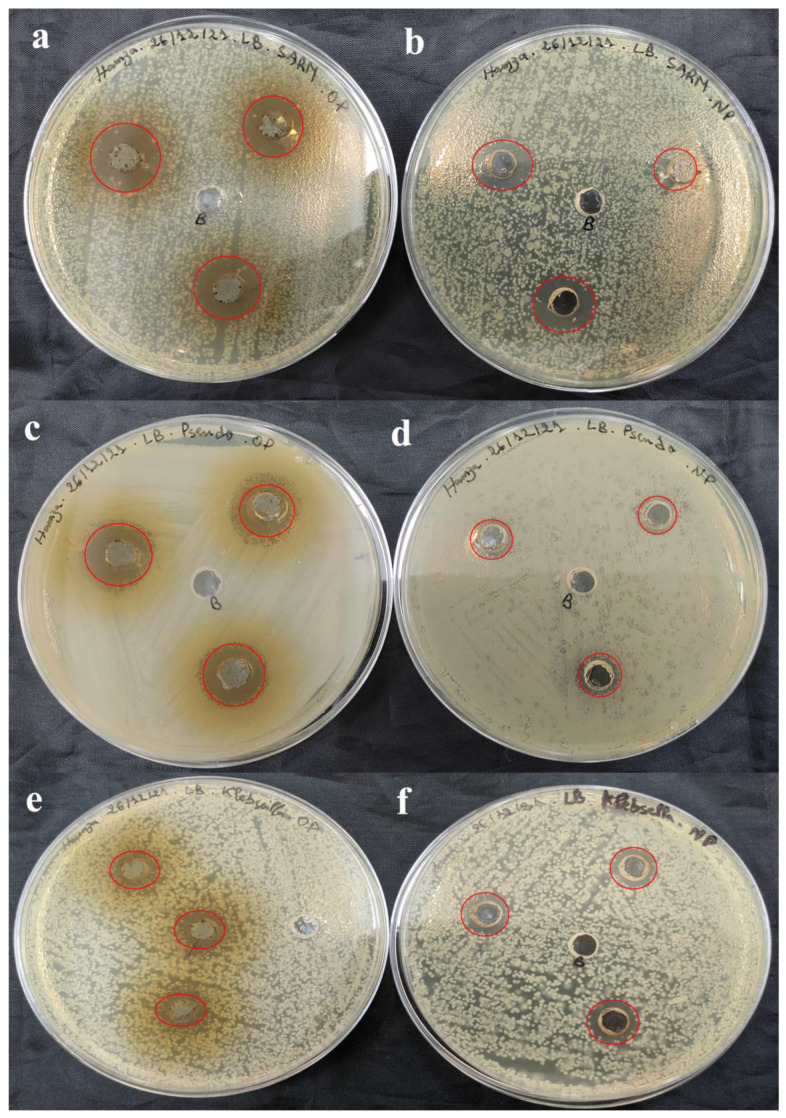 Figure 11