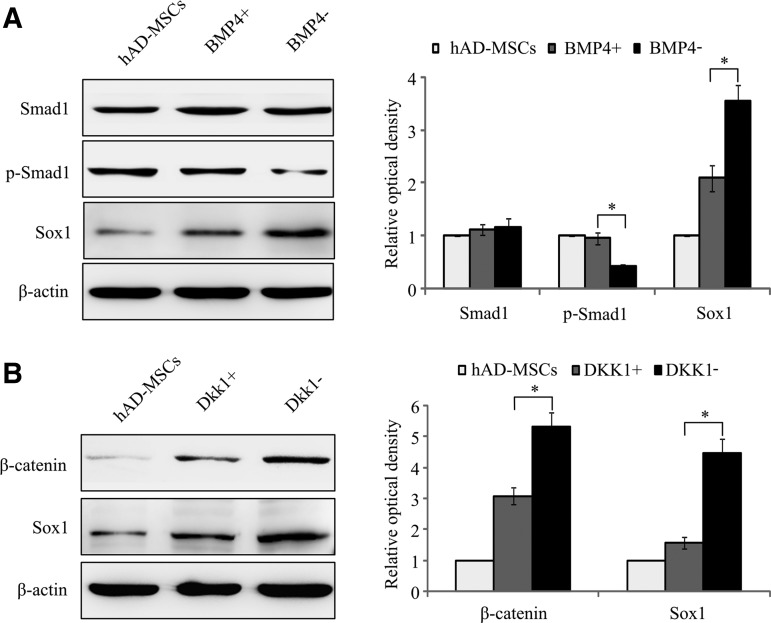 FIG. 10.