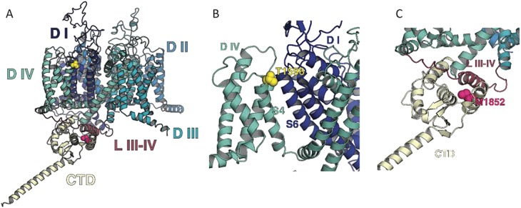 Figure 3.