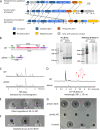 FIG 1