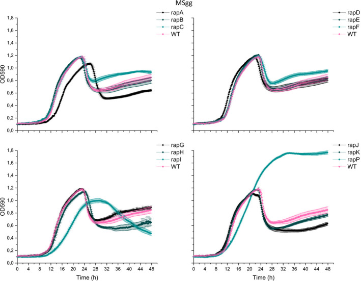 FIGURE 4