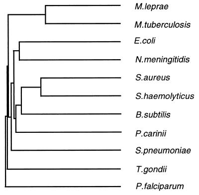 FIG. 1