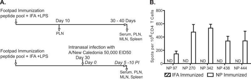 FIG 1