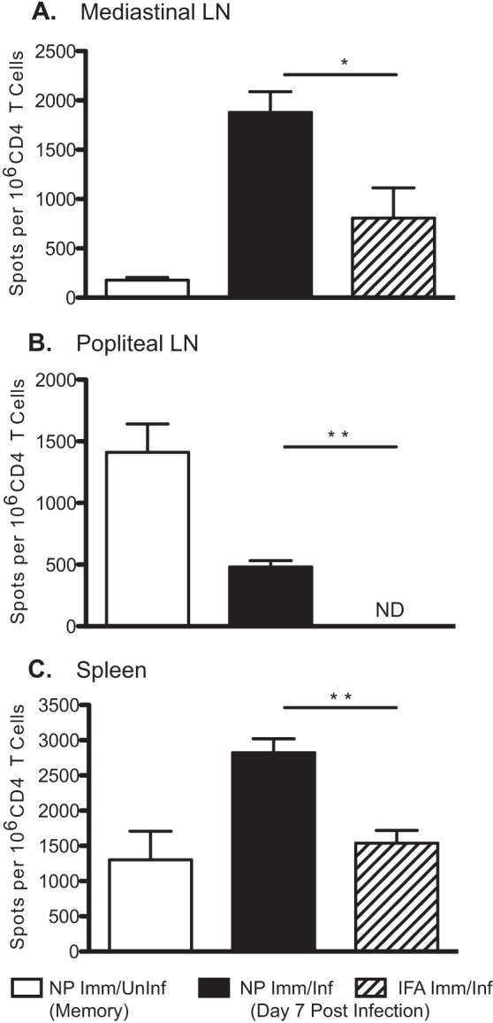 FIG 2