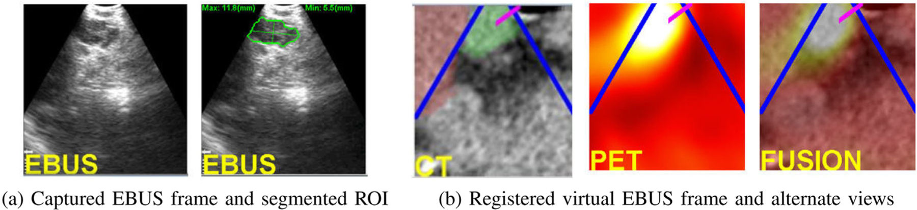 Fig. 9.