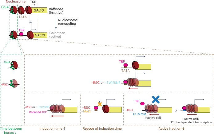 Fig. 7