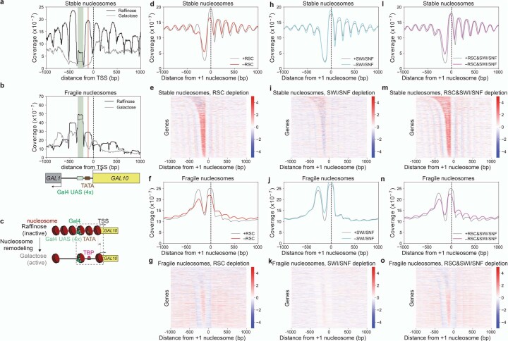 Extended Data Fig. 1