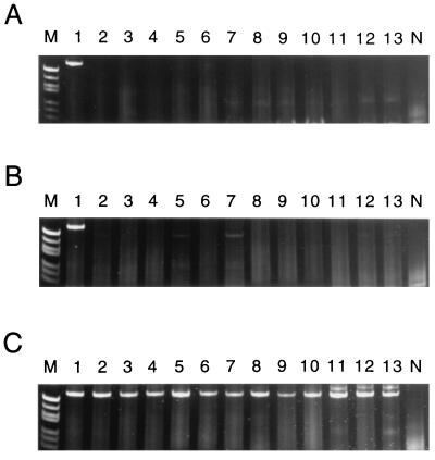 FIG. 5