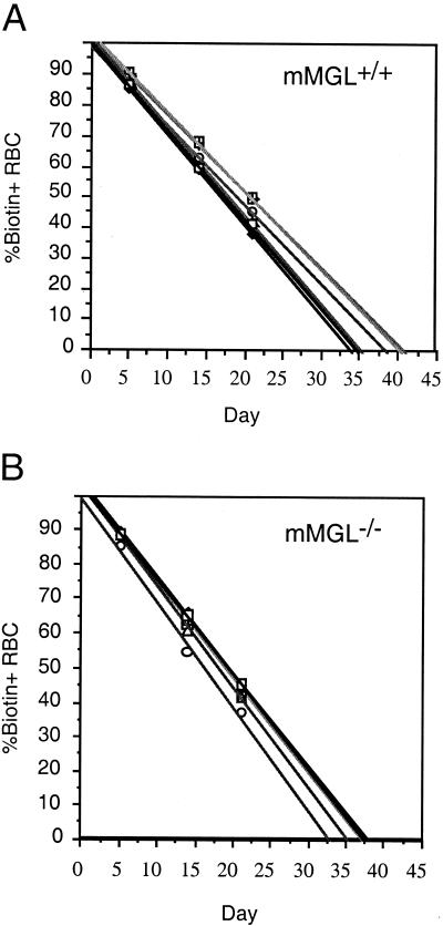 FIG. 5.