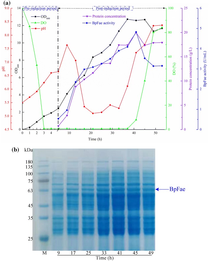 Fig. 4