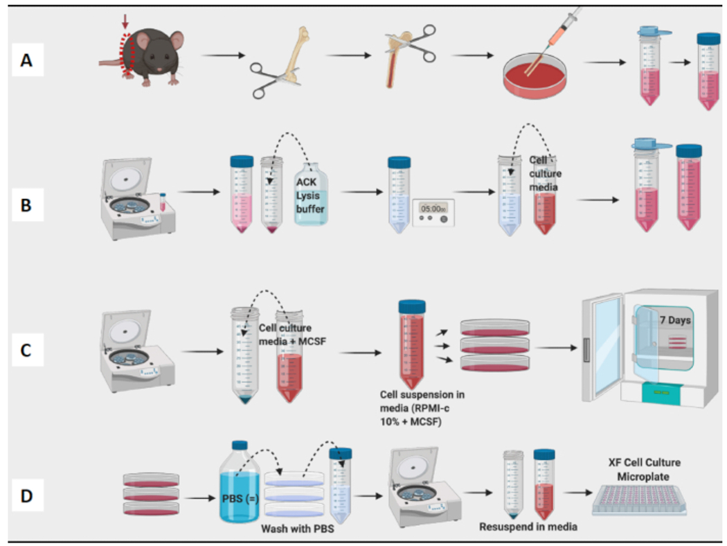 Figure 1: